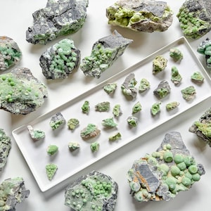 May include: A collection of green and gray mineral specimens with a variety of textures and shapes. The specimens are arranged on a white surface and a white rectangular tray.