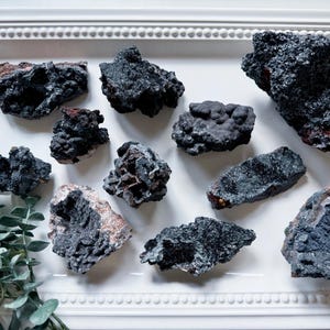 May include: A collection of nine dark gray and black mineral specimens with a rough, textured surface. The specimens are arranged on a white surface with a decorative border.
