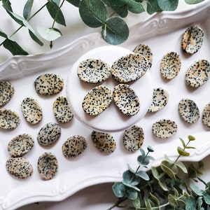 Dalmatian Jasper Mini Worry Stone