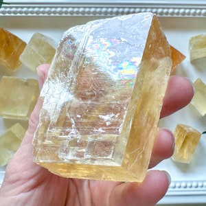 May include: A large, translucent, yellow selenite crystal with a layered, striated texture. The crystal is held in a hand, and there are smaller selenite crystals in the background.