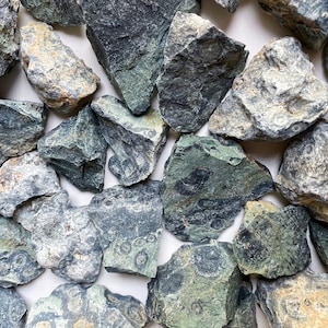 Kambaba Jasper Raw Stone