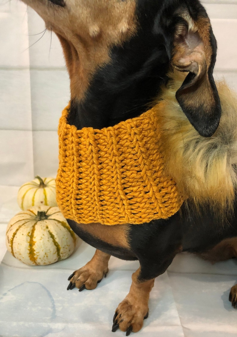 Doxie dachshund Doxie mom and Doxie matching hatneck warmer scarf winter doggy and me,dogmom dog scarf fall hat autumn wiener dog