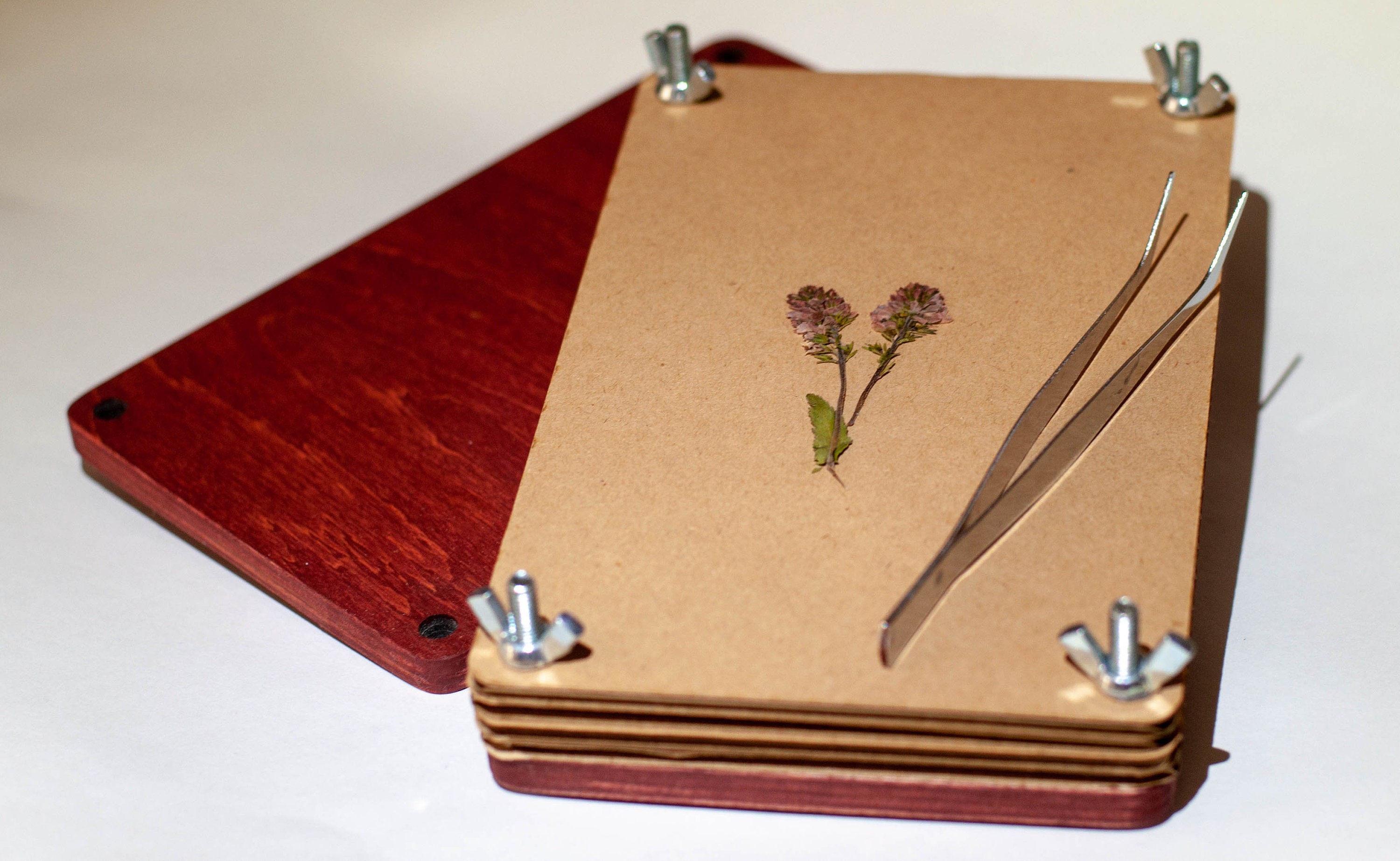 Flower press red color Herb press Flower press kit Etsy