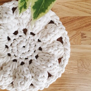 May include: A handmade, off-white macrame coaster with a floral design. The coaster is made of thick, woven cotton rope. A potted plant with green and cream-colored leaves is in the background, resting on a wooden surface.