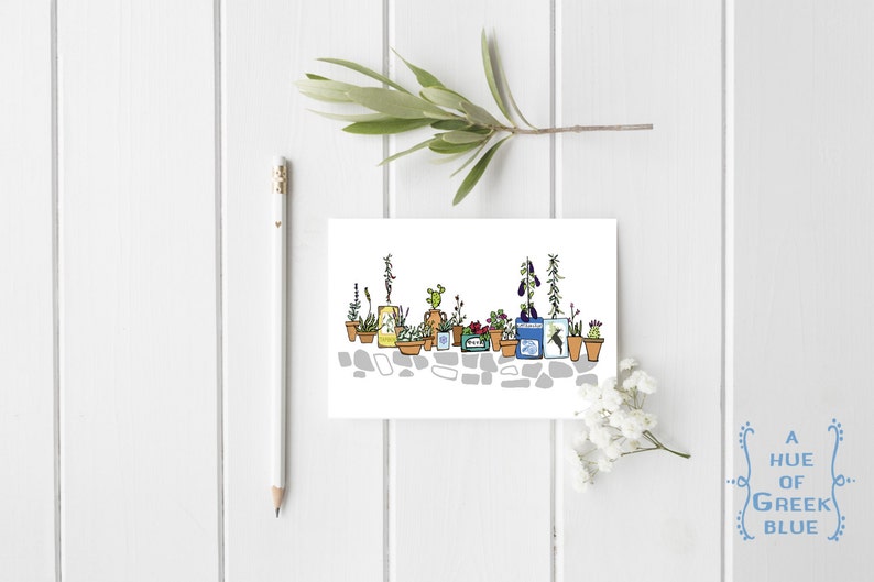 Cartolina Fioritrice Greca immagine 1