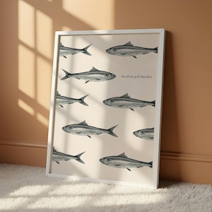 Poster sardineprint ingelijste nautische keukenkunst vintage vis school decor Sardina pilchardus