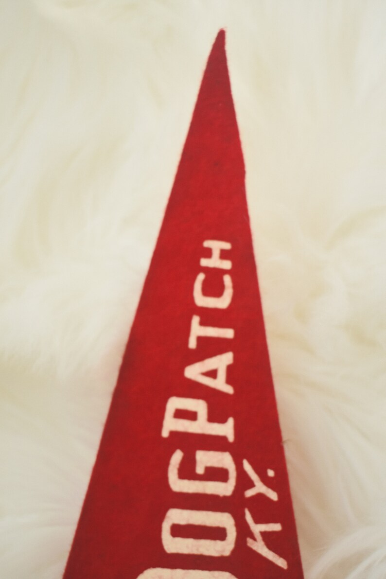 May include: A red felt pennant with white text that reads "DOGPATCH KY." The pennant is triangular and has a pointed end. The background is a soft, white, fluffy texture.