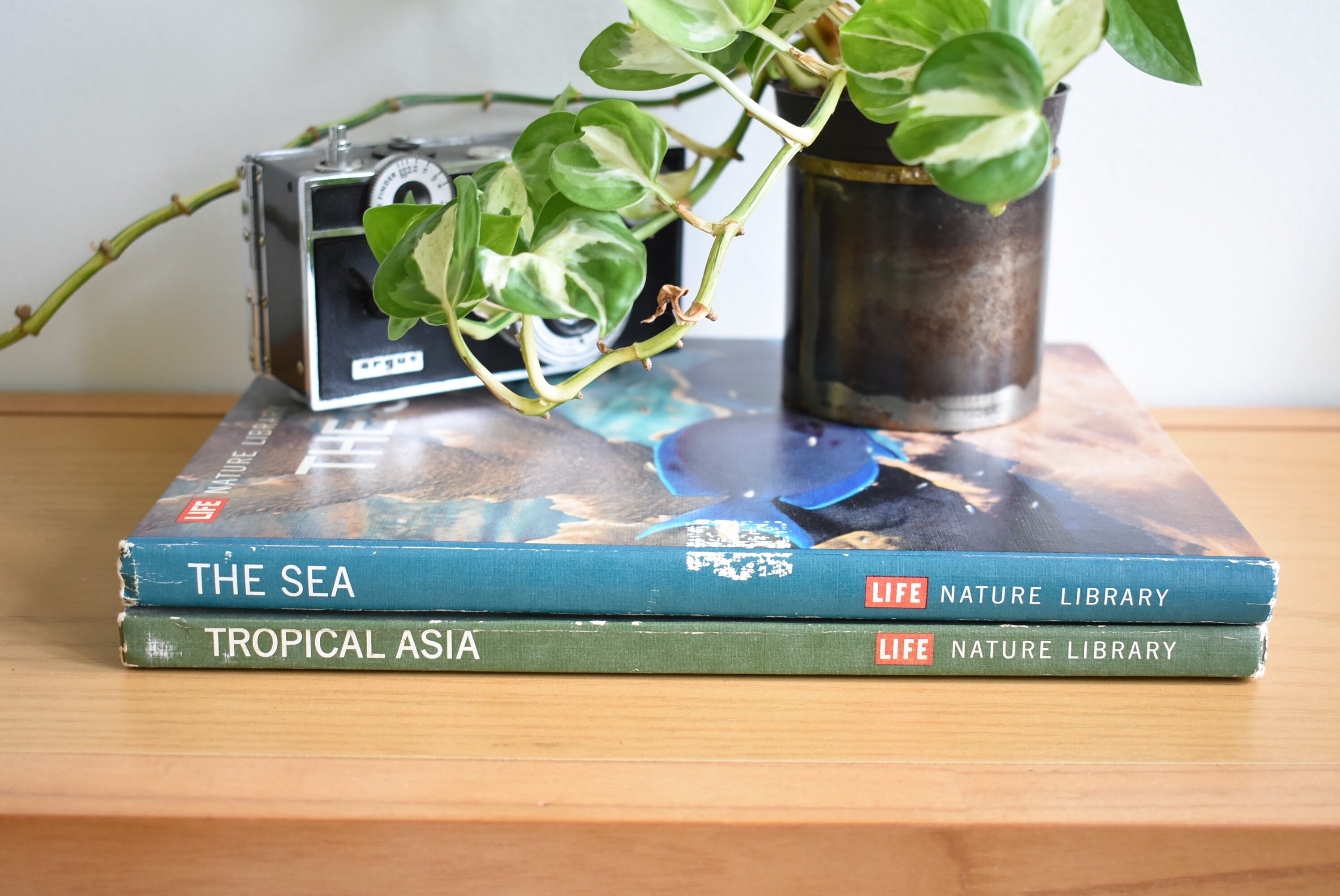 Life Nature Library - Etsy Life Nature Library - Etsy