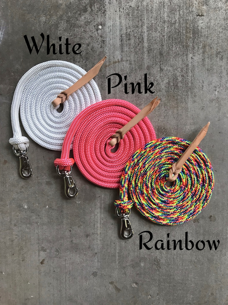 May include: Three coiled ropes with leather handles and metal clips. The ropes are white, pink, and rainbow.