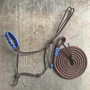 May include: A brown rope halter with blue and white accents, and a matching lead rope coiled in a circle.