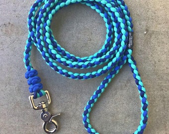 Standard dog leash with scissor snap