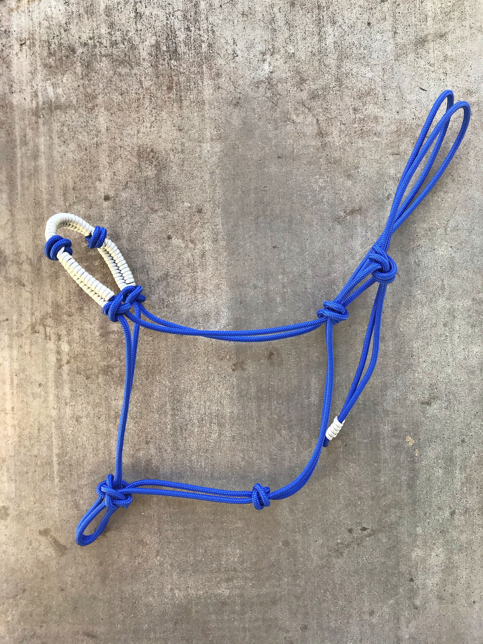 Custom Soft or Stiff Yacht Rope Halters With Paracording - Etsy