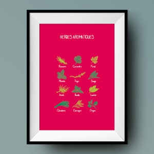 Poster / Cartolina / cucina / Erbe aromatiche / Decorazione murale
