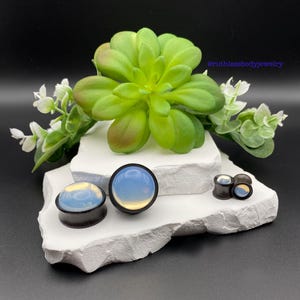 May include: Three opalite stone plugs with black rims are displayed on a white, textured surface, alongside a small succulent and white flowers. The plugs have a gradient of colors, from blue to yellow.