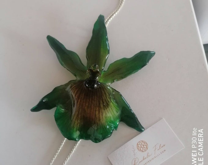 Spectacular Ziggo orchid (Zygopetalum) very rare incorporated in the resin there nsaliscendi in adjustable silver