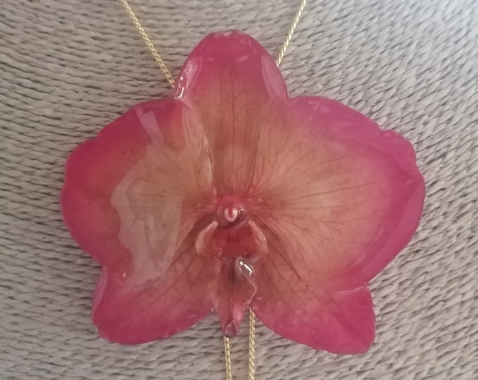 Natural pink/cream phaelanopsis orchid on adjustable gold/bronze slider