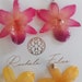 see more listings in the joyería de orquídeas section