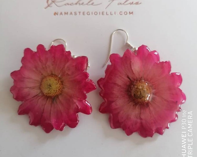 Small daisy earrings embedded in resin with silver hooks