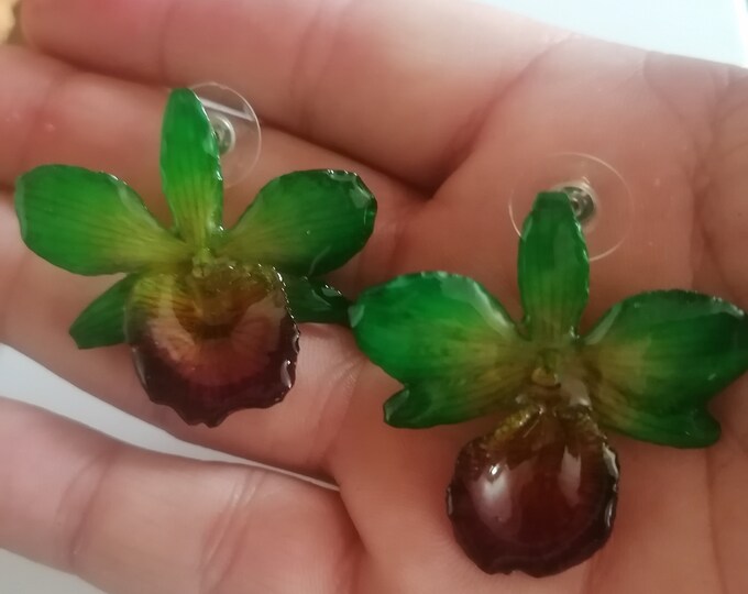 Earrings with small natural orchids embedded in green resin and purple mouth with silver hooks.