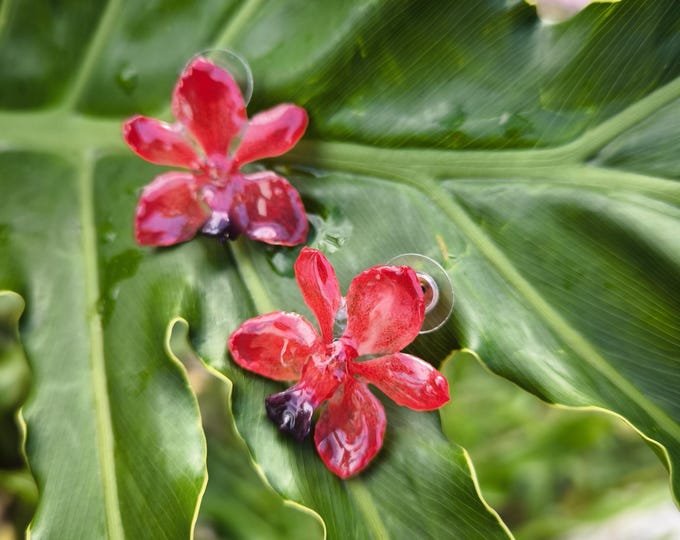 small natural red orchid earlobe earrings embedded in resin, silver clasps.