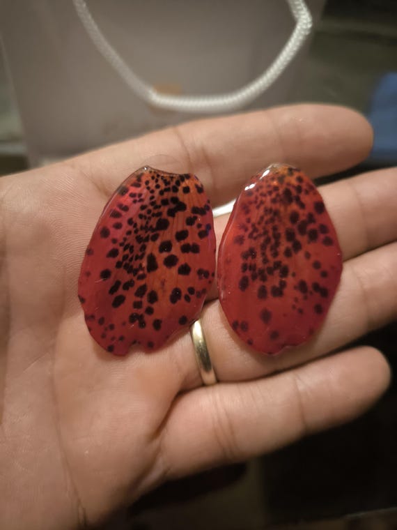 Elegant Orchid Petal Earrings: Bellatium encased in resin with nickel-free silver hooks