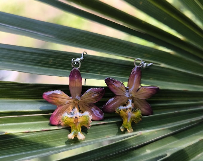 Natural Mini Orchid Earrings: Silver Hooks, Preserved Flower Jewelry in Resin for Nature Lovers