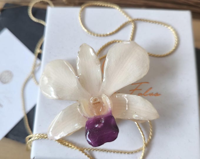 white orchid in gold ups and downs