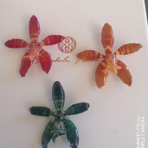 Può includere: Tre ornamenti floreali a forma di stella nei toni del rosso, arancione e verde. Gli ornamenti sono disposti su una superficie bianca. Il testo "Michele Tura" è visibile.