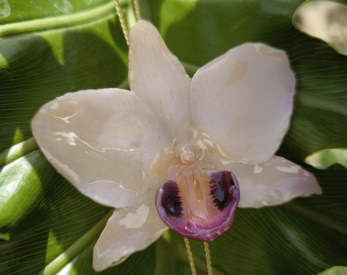 White hybrid orchid necklace embedded in resin with gold on bronze slider.