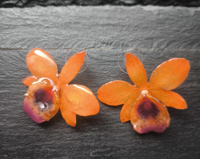 Pair of very rare Luchy orchids embedded in resin, silver clasp