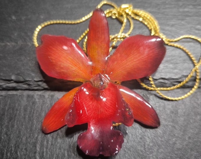 Orchidea naturale rossa inglobata in resina con saliscendi oro
