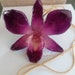 see more listings in the orchidee sieraden section