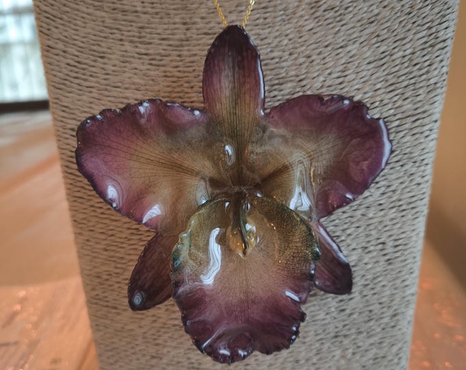 Collana e Fermacapelli 2 in 1 Orchidea Cattleya Regina Vera, Gioiello Botanico in Resina 9cm, Regalo Donna Elegante, Scatola e Garanzia