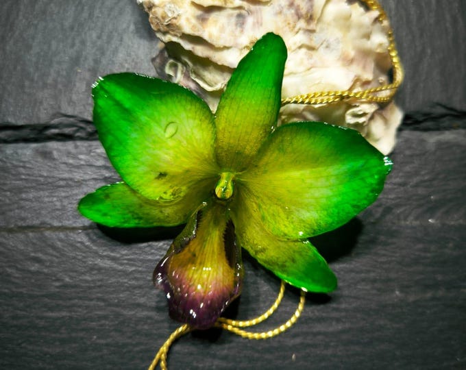 Collana Orchidea Vera Ibrida Verde Gialla in Resina, Ciondolo Botanico, Saliscendi Regolabile Oro su Bronzo, Gioiello Artigianale Elegante