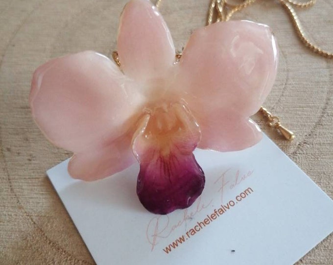 Spectacular and unique white star orchid with pink reflections embedded in resin with adjustable galvanized gold up and down handle