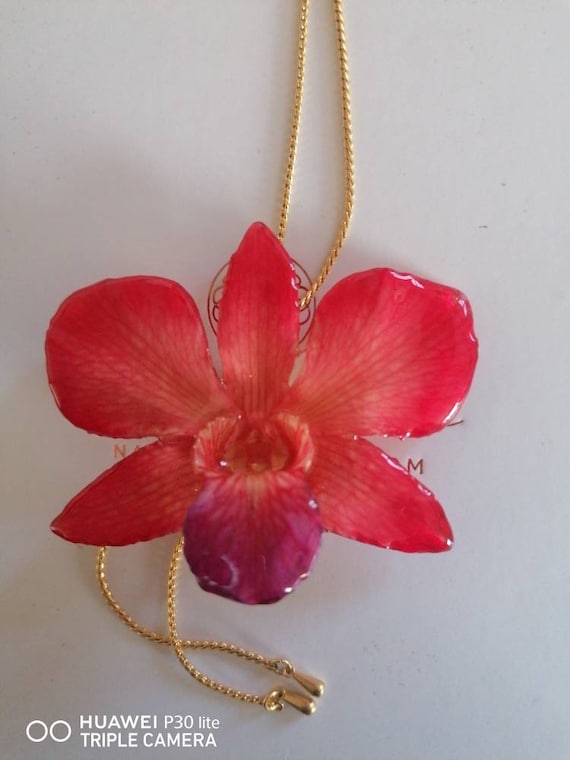 Natural lobster red orchid incorporated in resin and adjustable gold on bronze latch