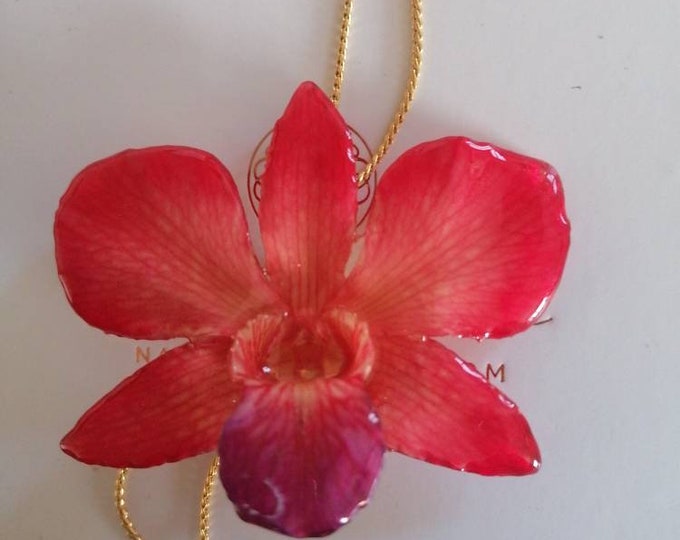 Natural red lobster orchid embedded in resin and adjustable gold-on-bronze slider