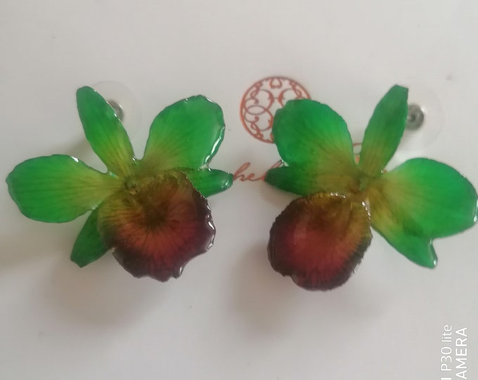 Earrings with small natural orchids embedded in green resin and purple mouth with silver hooks.