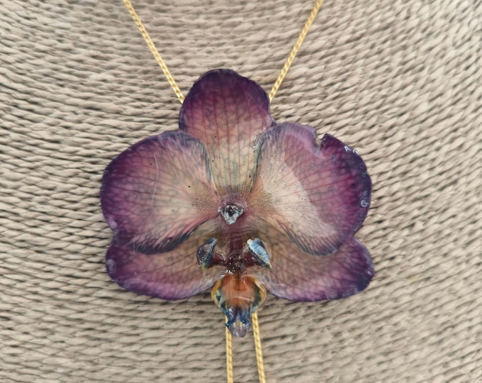 Collana Orchidea Vera, Pendente Opalescente, Catena Saliscendi Regolabile Oro Galvanizzato, Gioiello Botanico, Scatola e Garanzia