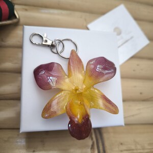 May include: A handcrafted resin keychain with a preserved orchid. The flower has yellow and burgundy petals, and is attached to a silver-coloured clasp and key rings. The keychain is presented on a white box.
