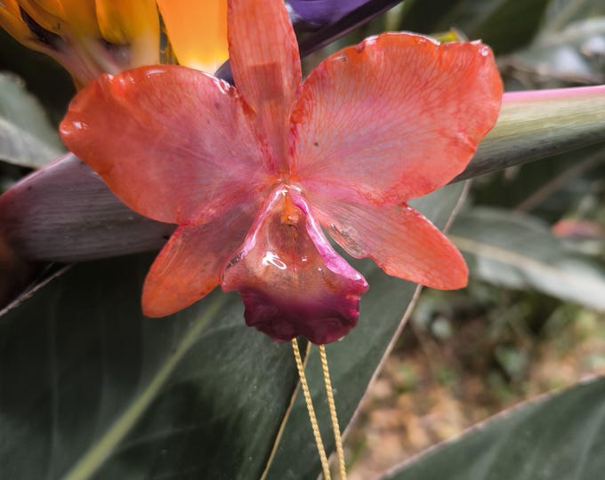 Large orange Cattleya orchid encased in resin with gold slider