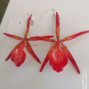Spectacular Renatheria storiei orchid earrings incorporated in resin
