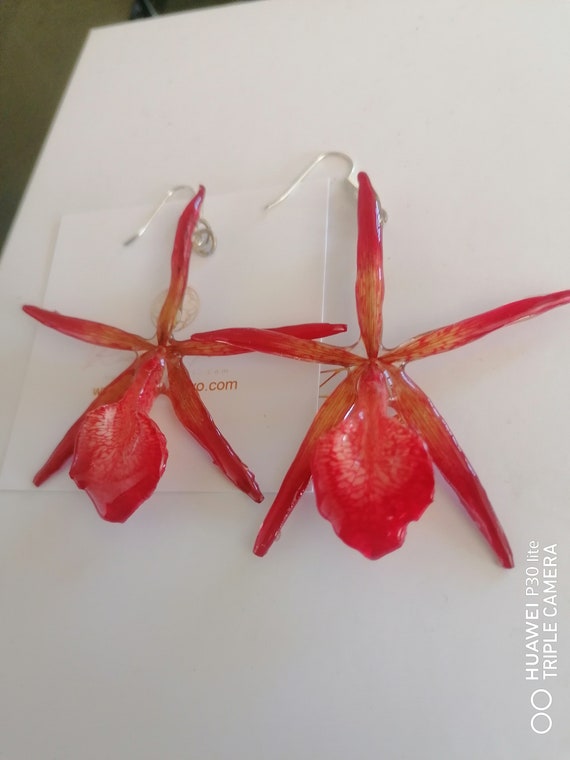 Spectacular Renatheria storiei orchid earrings incorporated in resin