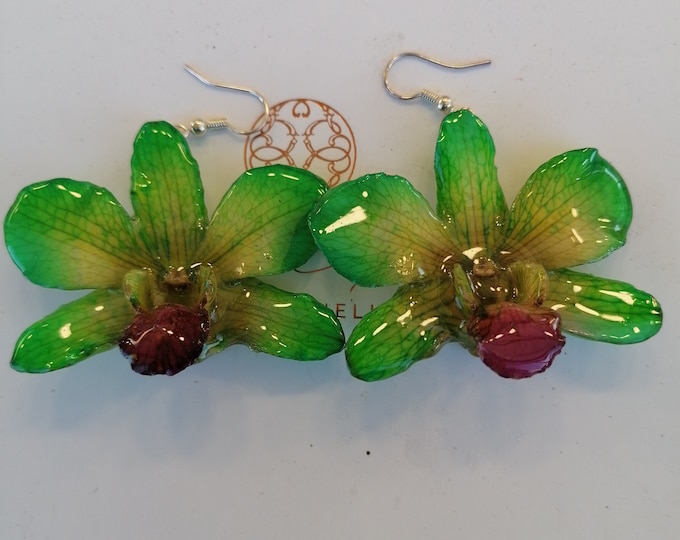 Pair of natural pearly green orchids embedded in resin, silver hook