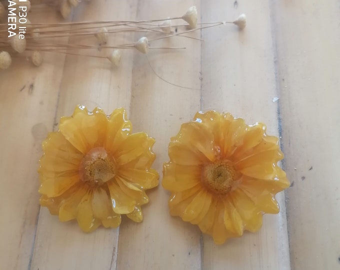 Orecchini Margherite con Ganci in Argento - Petali Naturali Stabilizzati in Resina Epossidica Trasparente