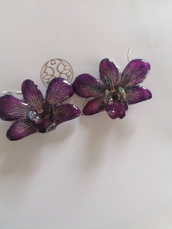 Pairs of natural orchid earrings in various colors