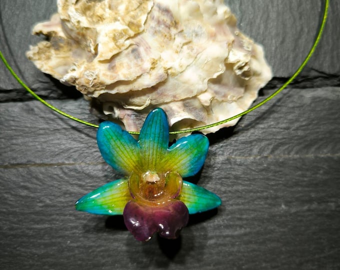 spettacolare orchidea nobilis inglobata in resila con girocollo in acciaio.