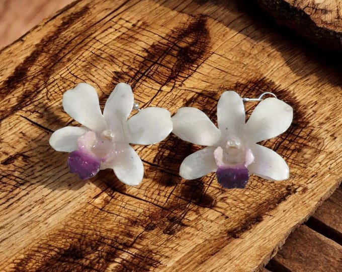 white Dendrobium orchid drop earrings embedded in resin with silver hooks.