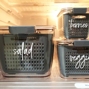 May include: Three clear plastic containers with grey lids and labels. The containers are labelled "salad", "veggies", and "berries".
