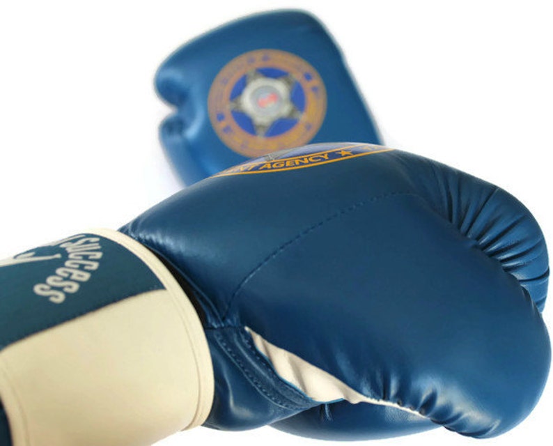 Boxing Gloves 12oz size. Law Enforcement Police